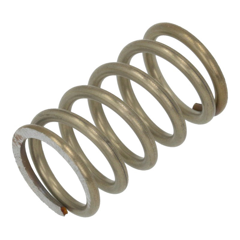 E61 SPRING — C219900427