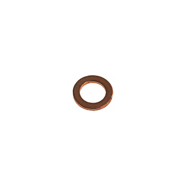 BE 7479947 Bezzera Mitica E61 washer