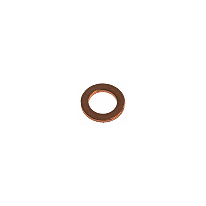 BE 7479947 Bezzera Mitica E61 washer