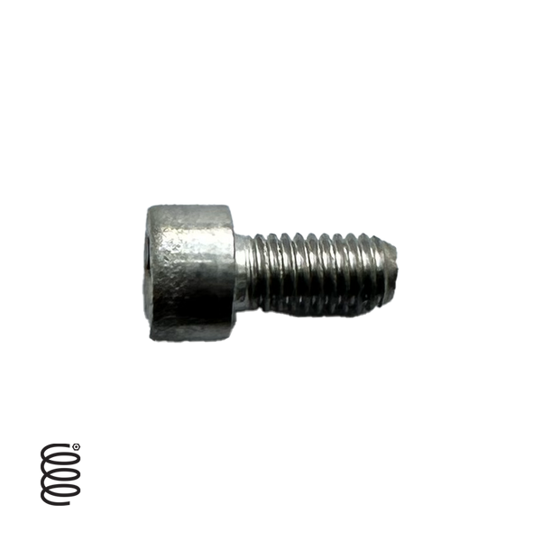 LZ I.1.005 - SCREW M5X10 SOCKET CAP S/S A2