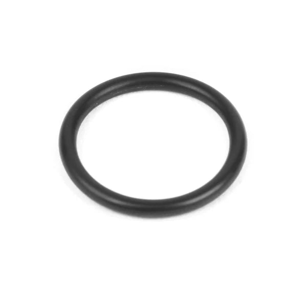 ECM P6070.4 - ECM VALVE O-RING