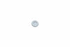 ECM / Profitec PTFE gasket C469901132