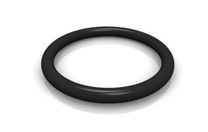 Izzo E61 FKM O-ring 8001794