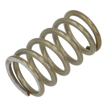 BE 7479970 Bezzera Mitica E61 spring